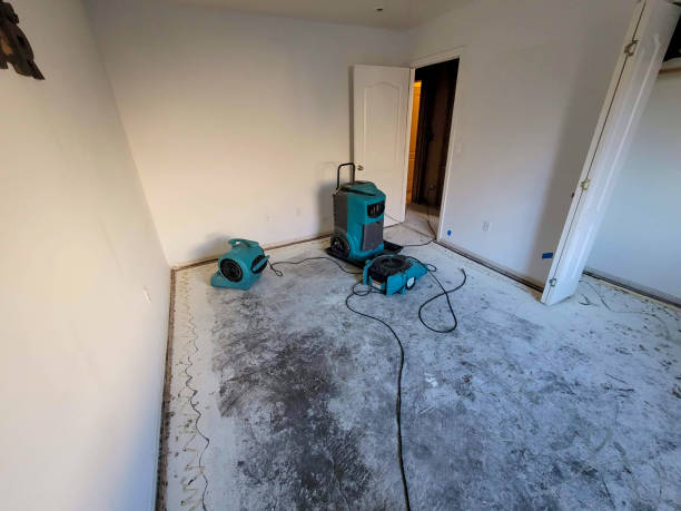 Best Carpet water damage restoration  in Corning, IA