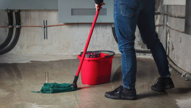 Best Water damage cleanup near me  in Corning, IA