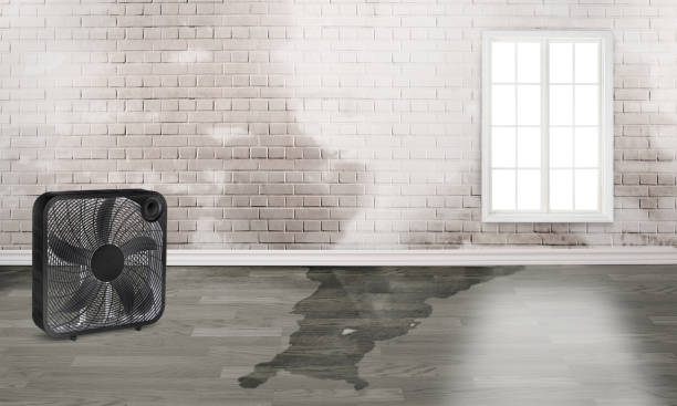Best Sewage cleanup and water damage restoration  in Corning, IA