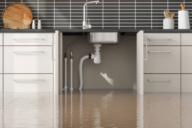 Best Water damage restoration process  in Corning, IA